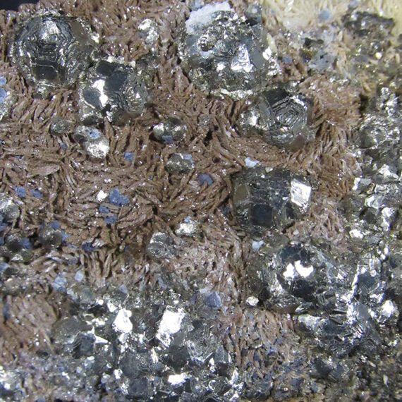 Pyrite, sidérite, galène et calcite du Tarn.