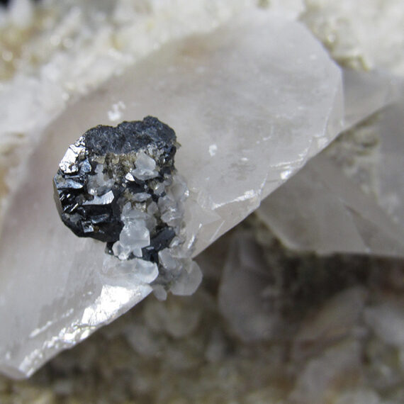 Sphalérite, calcite, sidérite, dolomite, quartz et galène du Tarn.