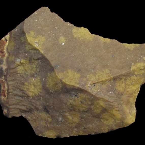 Pierre fleurie des Marquises.