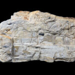 Bismite et bismuthinite du Mozambique.