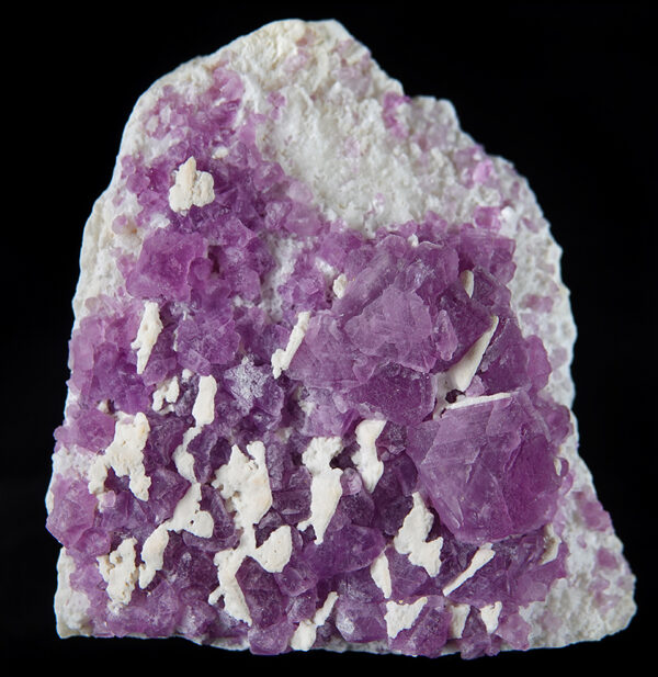 Fluorine du Mexique
