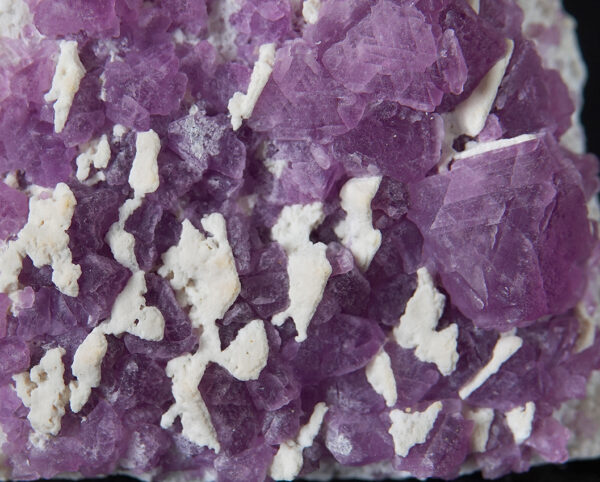 Fluorine du Mexique – Image 2