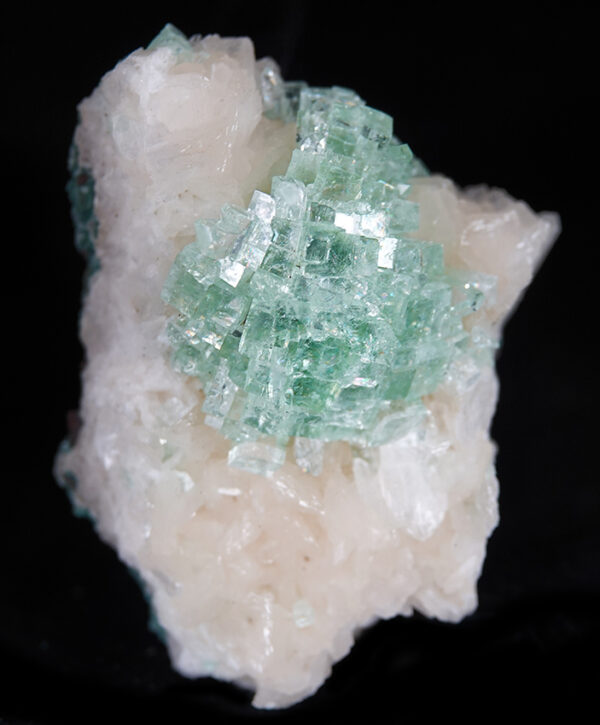 Fluorapophyllite-(K) et stilbite-Ca d'Inde – Image 4