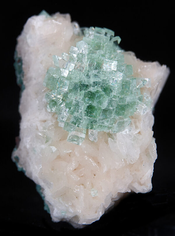 Fluorapophyllite-(K) et stilbite-Ca d'Inde – Image 3