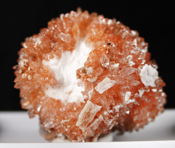 Creedite du Mexique – Image 3