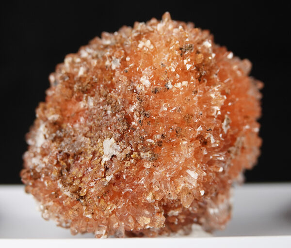 Creedite du Mexique – Image 2