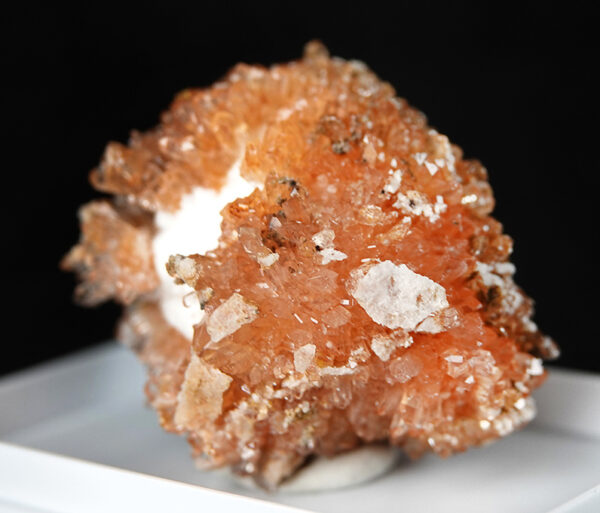 Creedite du Mexique – Image 4