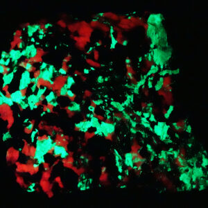 Willémite, franklinite et calcite des États-Unis
