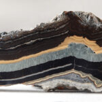 Schalenblende de Belgique