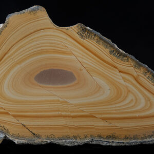 Calcaire concentrique d'origine incertaine