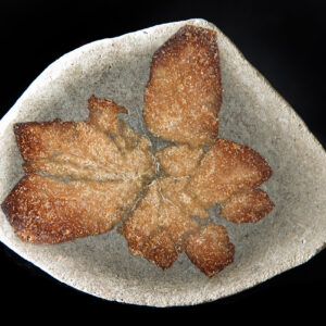 Glendonite de Russie