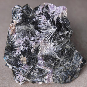 Aegyrine, charoïte, tinaksite et pectolite de Russie