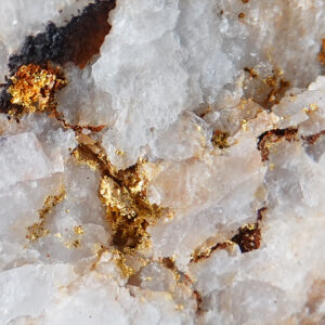 Or natif de Guyane Française