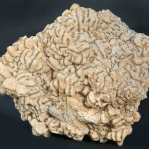 Muscovite du Brésil