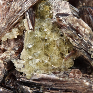 Fluorapatite et muscovite du Brésil