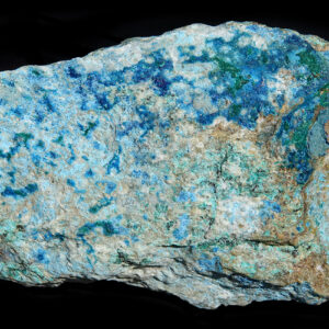 Chrysocolle de Corse