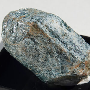 Saphirine de Madagascar
